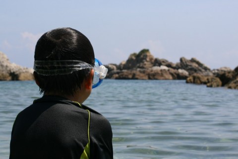 7s55ifsr9jyvzogkye55_480_480-c61cb3f7.jpg