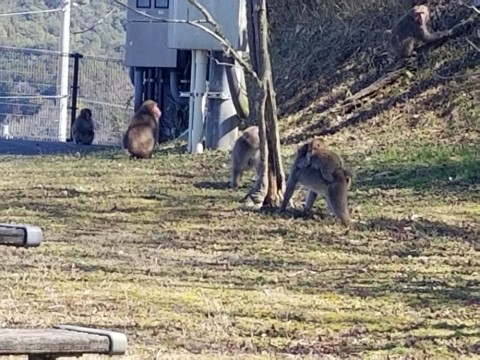 な