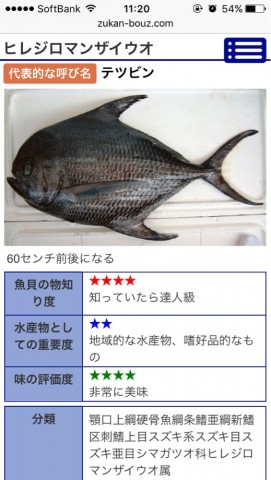 7sy4erggu8pydfdpgx9p_519_920-ec45d98d.jpg