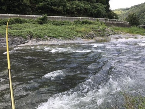 7t3654rsdbz58xzzjkim_480_361-8f2347dc.jpg