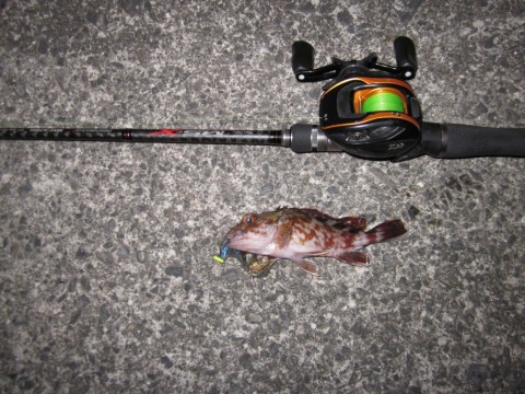 7t479bmxamy2riepeujp_480_480-e7b0cb79.jpg