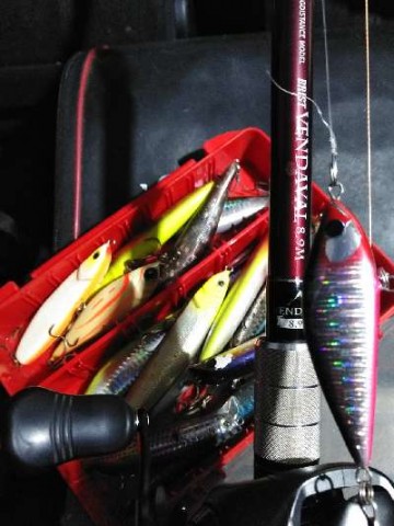 7t4tmw7bogewengxbk92_480_480-7034ff23.jpg
