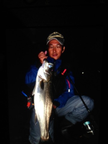 7t63rwn4xbig6cfcjffu_480_480-178cc92b.jpg