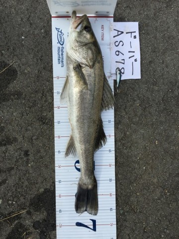 7tj6tdy263pvfhons4jj_690_920-91c03745.jpg