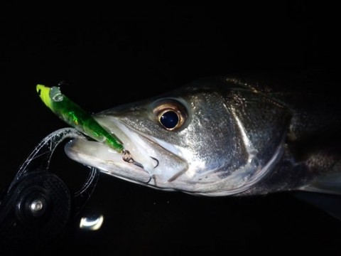 7uobx3vz9m5i8tm7hr3b_480_360-be9f1c62.jpg