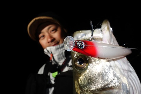 7uub7u82ig5fhywieg4a_480_480-6720cd55.jpg