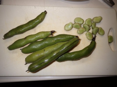 7uxi3zen933sxoikupn5_480_480-54dc999a.jpg