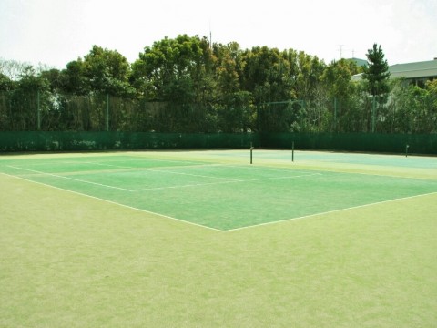 7v33ofcxibwwdee4sh9v_920_690-d612ac59.jpg