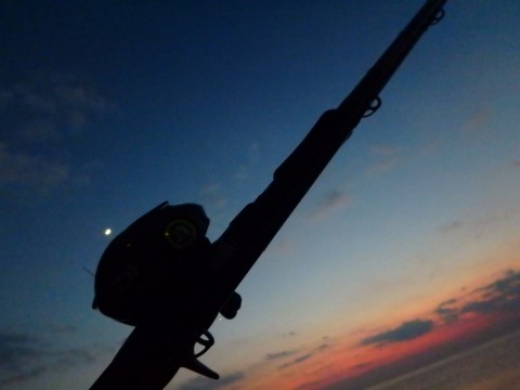 7v9bzfxfxjztjowc4fzy_480_480-ef2a2013.jpg