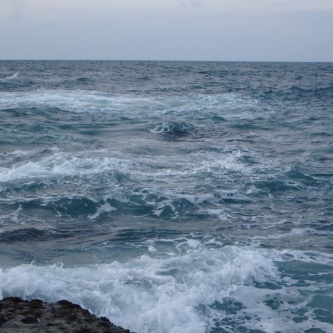 7voo9mbeyrtjbjzvhu4k_480_480-1c716862.jpg