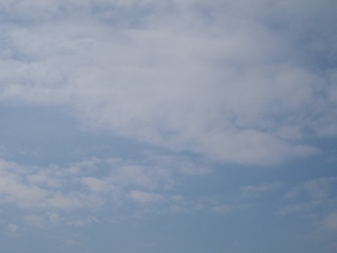 7vp6k6aszayui56678jv_480_480-dd984d5e.jpg