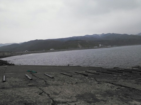 7vpfmgj8hdimp9rasx5a_920_690-afec16a6.jpg