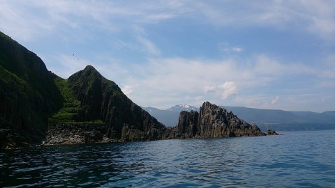 7vyejvp3dfxn93cxo437_480_480-d4c40e94.jpg