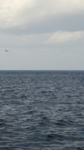 7w9yxdktcupjkfs7um6x_518_920-c03591ee.jpg