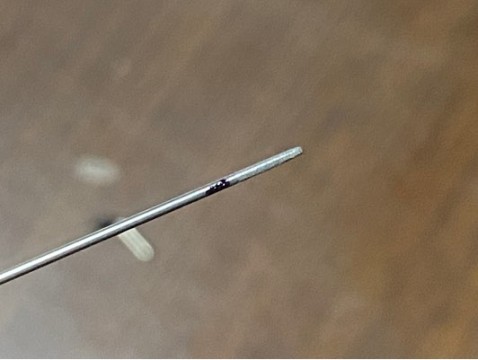 7wahup3m2bggg92nodpo_480_362-9a3f2deb.jpg