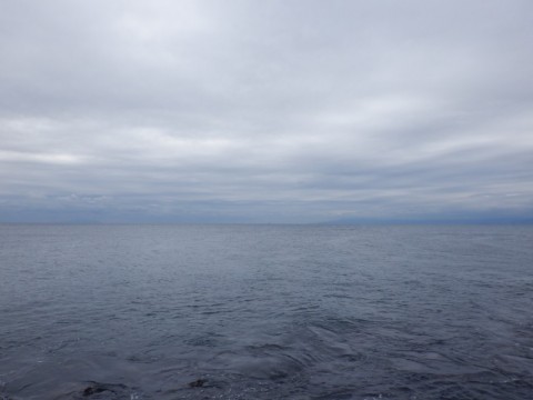 7wdjgyjun8n4rnbksrv5_480_480-1cb11a63.jpg