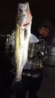 7wmu295tarv4crcw86m2-505177f3.jpg