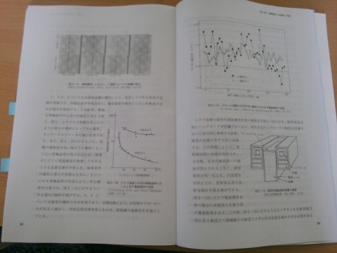 7wpyz4kmr5se4koenh8f_920_690-e36e2f94.jpg