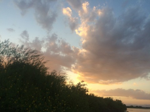 7x275yzgxnmkdpdpvxkf_480_480-11273684.jpg