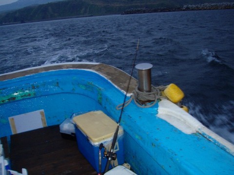7x37gxn2s62ioxouitoa_480_480-d16c84d8.jpg