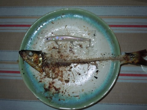 7x9o5d2awnycb9a6v5w7_480_480-f69da8d1.jpg