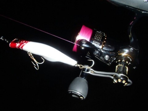 7xb6tivgoatmmroft67w_640_480-32bcd177.jpg