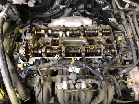 7xk6nds5nxpmvuejchnj_480_480-daf00a8a.jpg