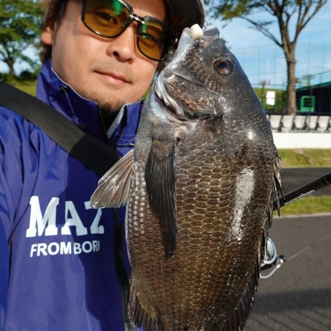 7xsy8p9on6ez6dxhtwhp_480_480-768aa949.jpg