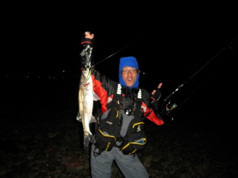 7y5bok62xw6z6hkipgvu_920_690-387c004a.jpg