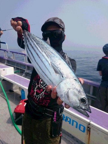 7yatuyto464p9e34b49e_690_920-d48619b4.jpg