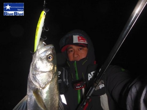 7yc86kua2e9ontty9u6a_480_480-32e9432a.jpg