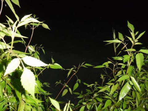 7ykzbwjbhk6g4yis8ir6_480_480-12bf5820.jpg