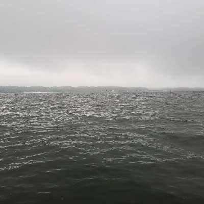7yndyk4462d6woooc63j-ef0fe683.jpg