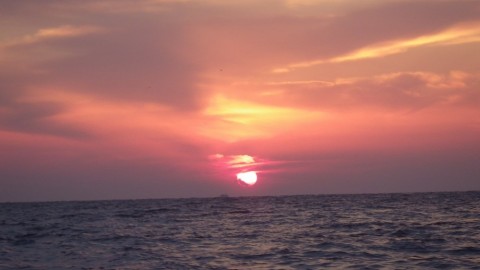 7yu4fhmakw5yufgscc7t_480_480-e251e1e9.jpg