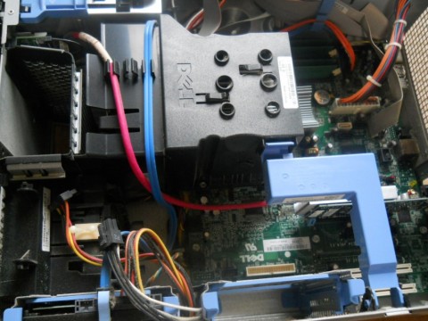 7z423nbvzrygeztci8wj_480_480-566cc19c.jpg