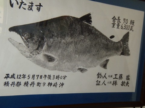 7zdbcv2eyysn35wrgu9w_480_480-ce92a571.jpg