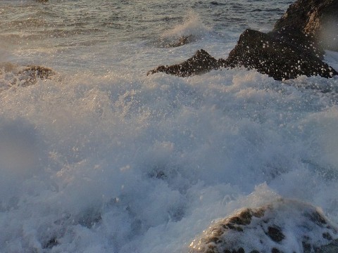 7zixmeioyza9c422xhzz_480_480-03ea1838.jpg