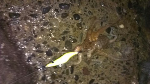 828p2kfrgswpdejzgen2_920_518-47e0ca5b.jpg