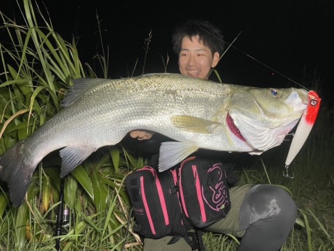828pm3zuvzzxjnv92cy8_480_480-5d71b030.jpg