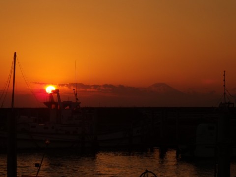 82a6xhsmyx7ujjkm9w7b_480_480-55666d72.jpg