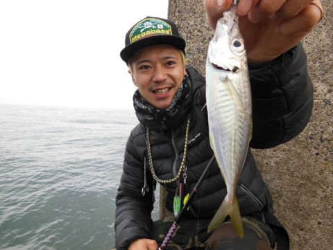 82usg542nfkd2ypa3i8g_480_480-3bbad148.jpg