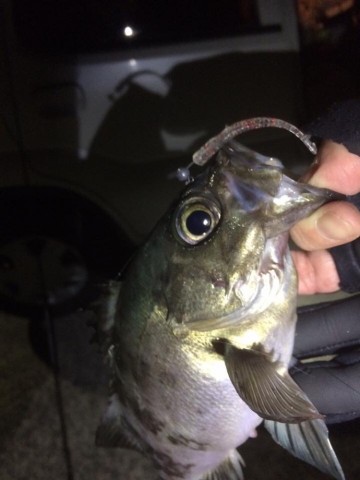 82wcm5m382hyfkka2kgs_690_920-bcfa9e85.jpg