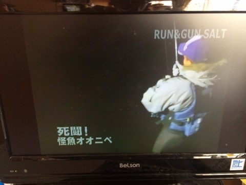83bctrsgftoob24mc8jj_480_480-b4266061.jpg