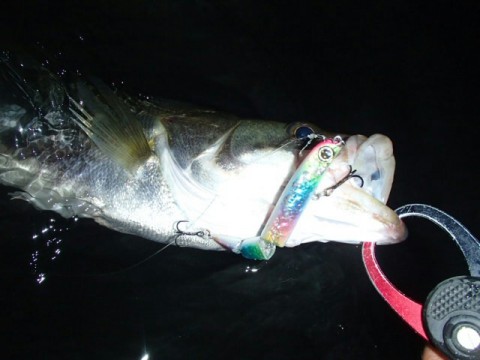 83bxfp35gakbui5hkctg_640_480-8e54e566.jpg