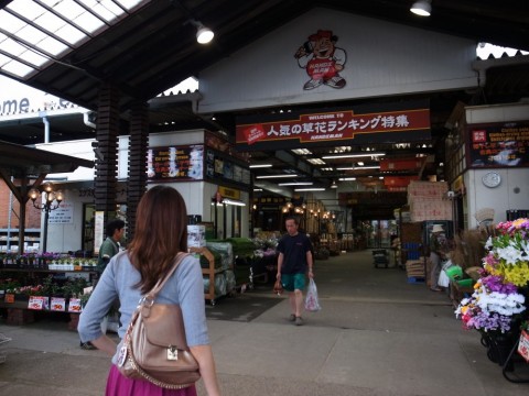 83ve8ado2zjmcy7ne6vt_480_480-d42b8c81.jpg