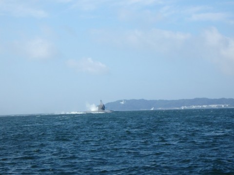 83vrvfbezna4etgztmdj_480_480-58d68fd5.jpg
