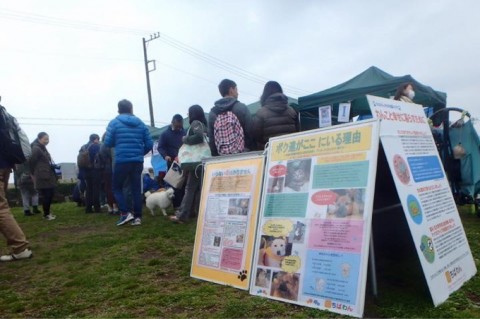 83x5cbaremtf5k8fe648_920_611-ce85b9f8.jpg
