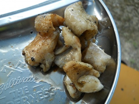 83z9khgzhcjtiaiugf65_480_480-6d6ae6ad.jpg