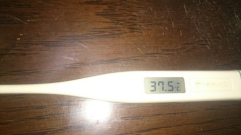 84c46nkrvd6njesntvjd_920_518-8ba39c9d.jpg