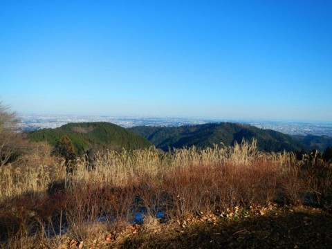 84cgmuevki4zt9ipp6o2_480_480-2c2c5147.jpg
